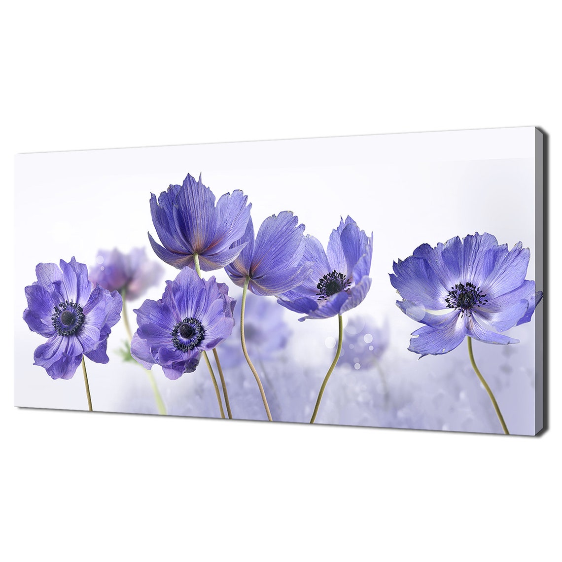 Blue Anemone Flowers Wide Panoramic Spring Floral Wall Art Print