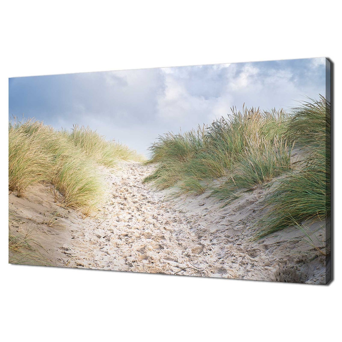 Sand Dune Path Sea Grass Crossing Windswept Beach Coast Poster
