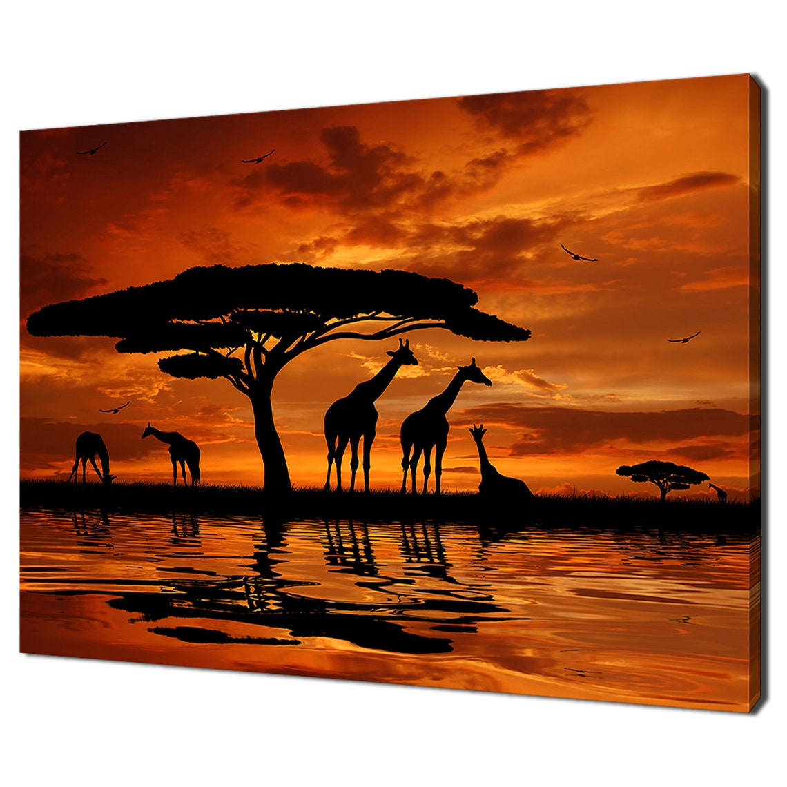 Giraffe Herd Silhouette Sunset Acacia Tree African Savanna Poster