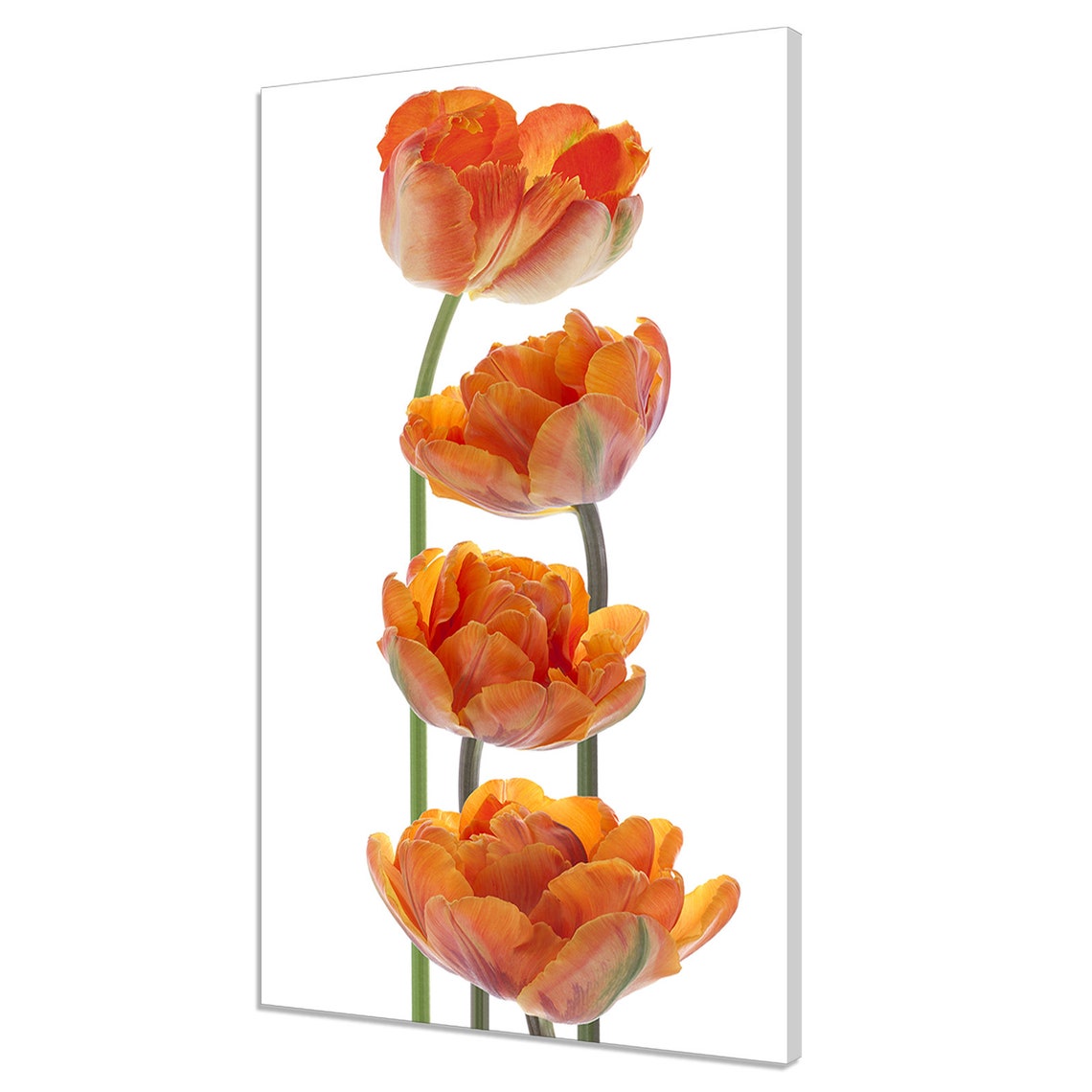 Orange Tulips Minimalist Botanical Quartet Modern Floral Poster
