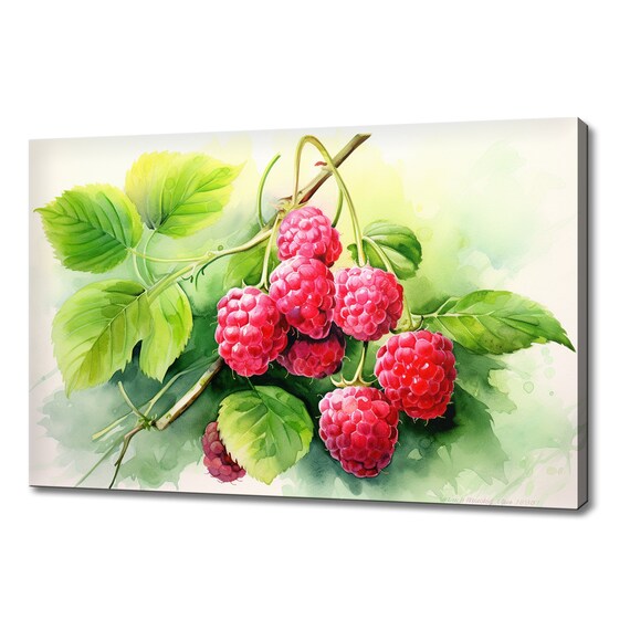 Red Raspberries Fruits Watercolour Print Colourful Kitchen Wall Art Fruit Print Modern Kitchen Restaurant Wall Decor
