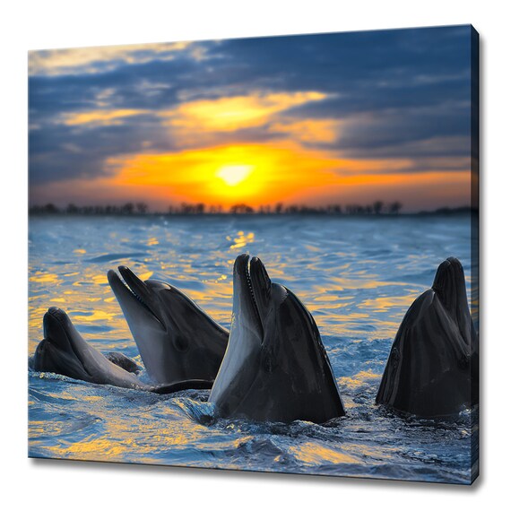Dolphin Family Surfacing At Golden Sunset Ocean Sea Life Nature Poster