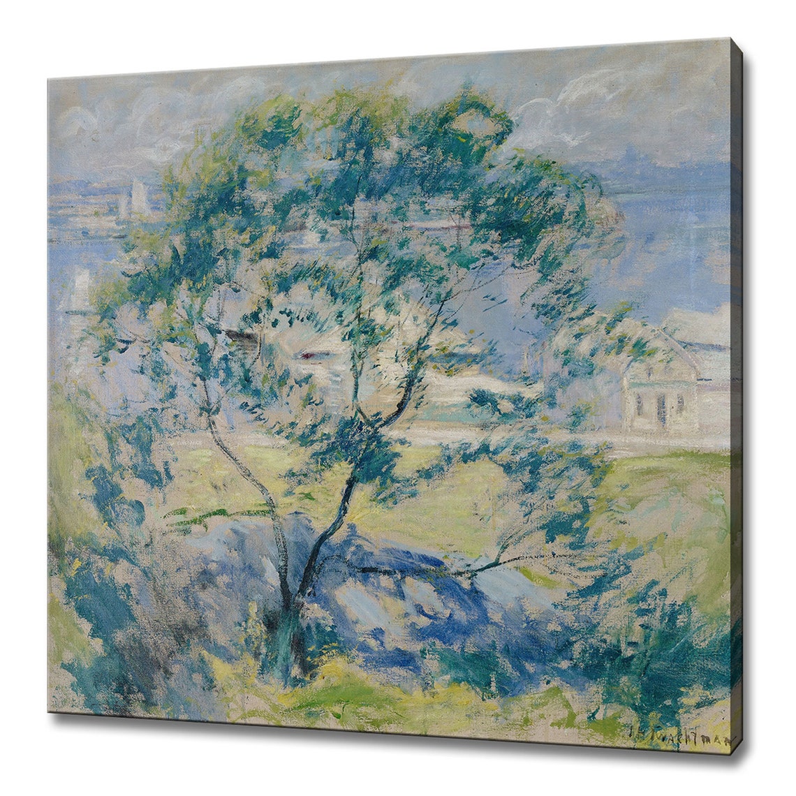 Twachtman Windswept Tree Coastal Hill Harbor Impressionist Art Print