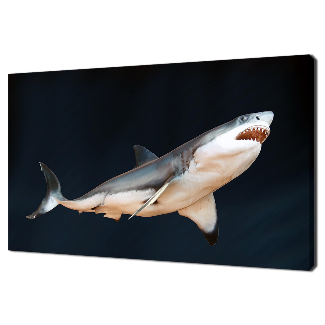 Great White Shark Open Jaws Teeth Dark Blue Water Wildlife Poster