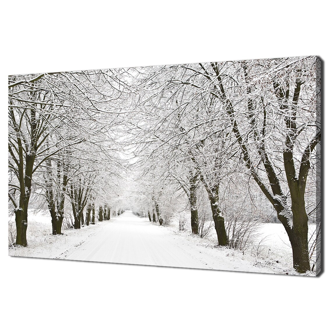 White Snow Alley With Trees, Modern Wall Art Print