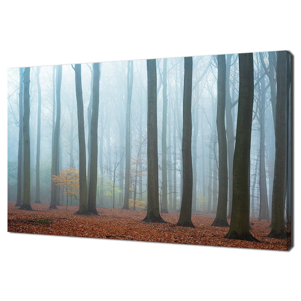 Misty Autumn Forest With Tall Bare Trees And Russet Leaf Carpet Poster