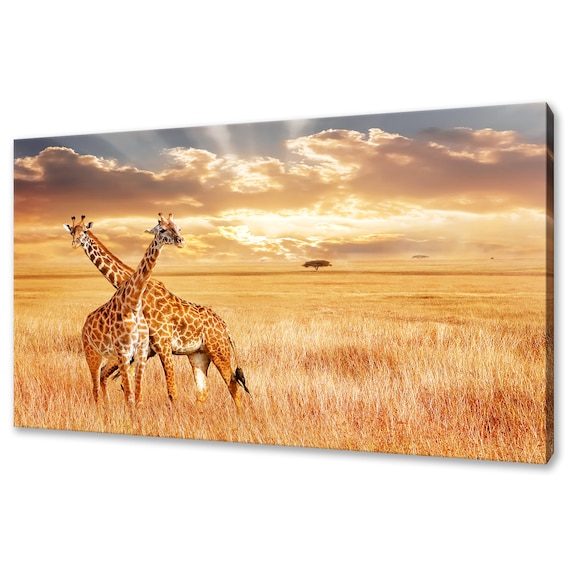 Two Giraffes On Golden African Savanna Sunset Wildlife Art Poster