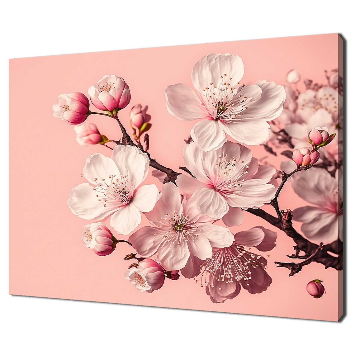 Pink Cherry Blossom Branch Spring Flowers Romantic Photo Art Print