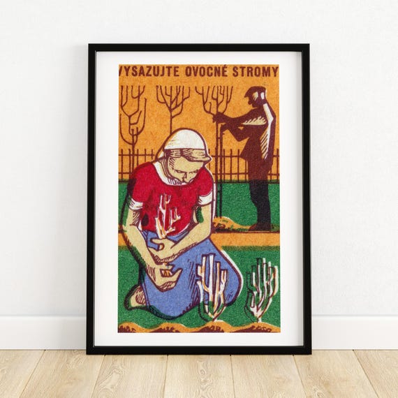 Plant Fruit Trees Matchbox Print Aesthetic Wall Art Vintage Art Matchbox Wall Poster Vintage Poster Print