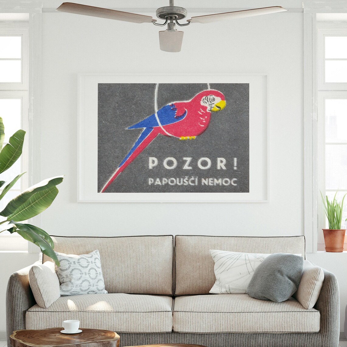 Pozor Parrot Disease Czech Vintage Matchbox Bird Art Poster Gray - Image 3