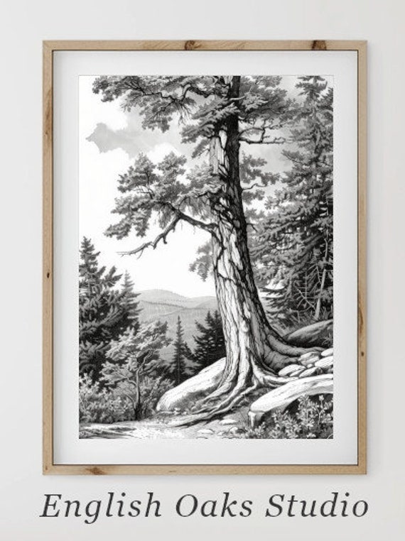 Rustic Neutral Forest Landscape Sketch Wall Art Vintage Landscape Drawing Wall Art 02