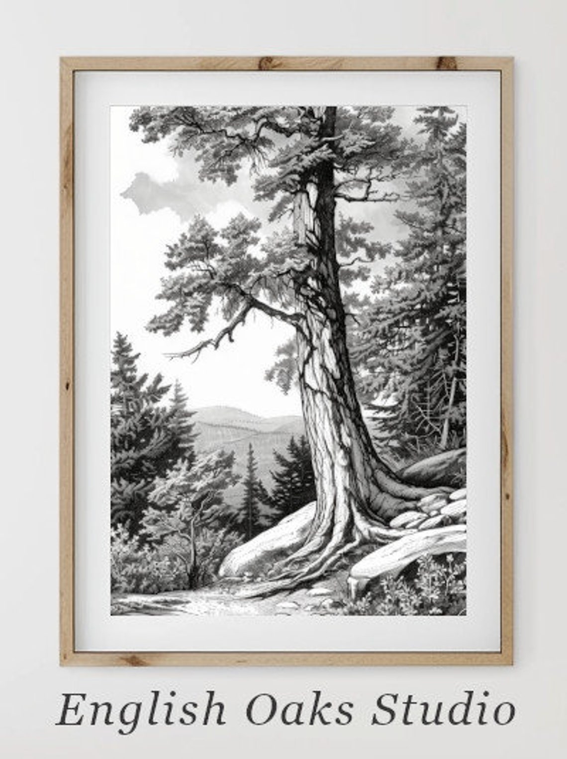 Ancient Pine Tree on Rocky Cliff Black and White Sketch Poster