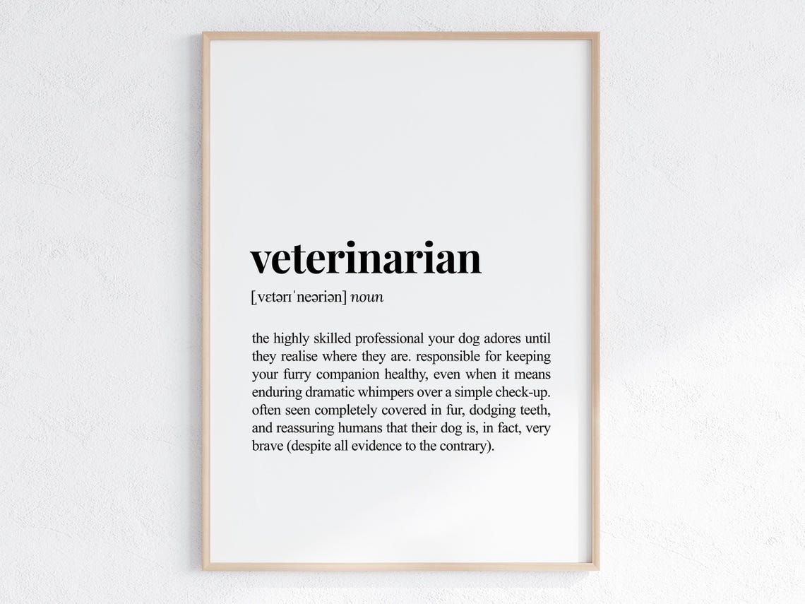 Veterinarian Dictionary Definition Poster Funny Vet Appreciation Gift