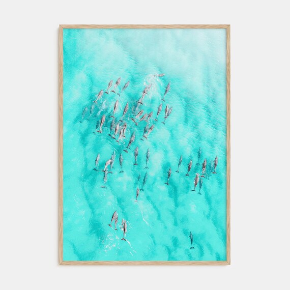 Dolphin Swimming Poster Print, Sea Life Ocean Decor