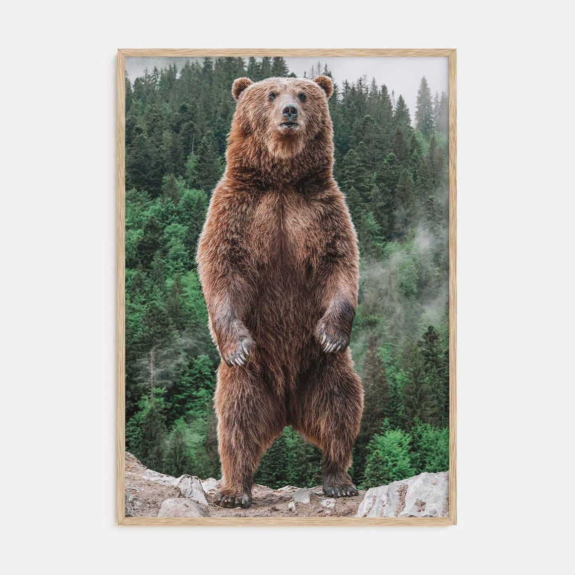 Standing Brown Bear in Misty Forest Wildlife Photography Poster