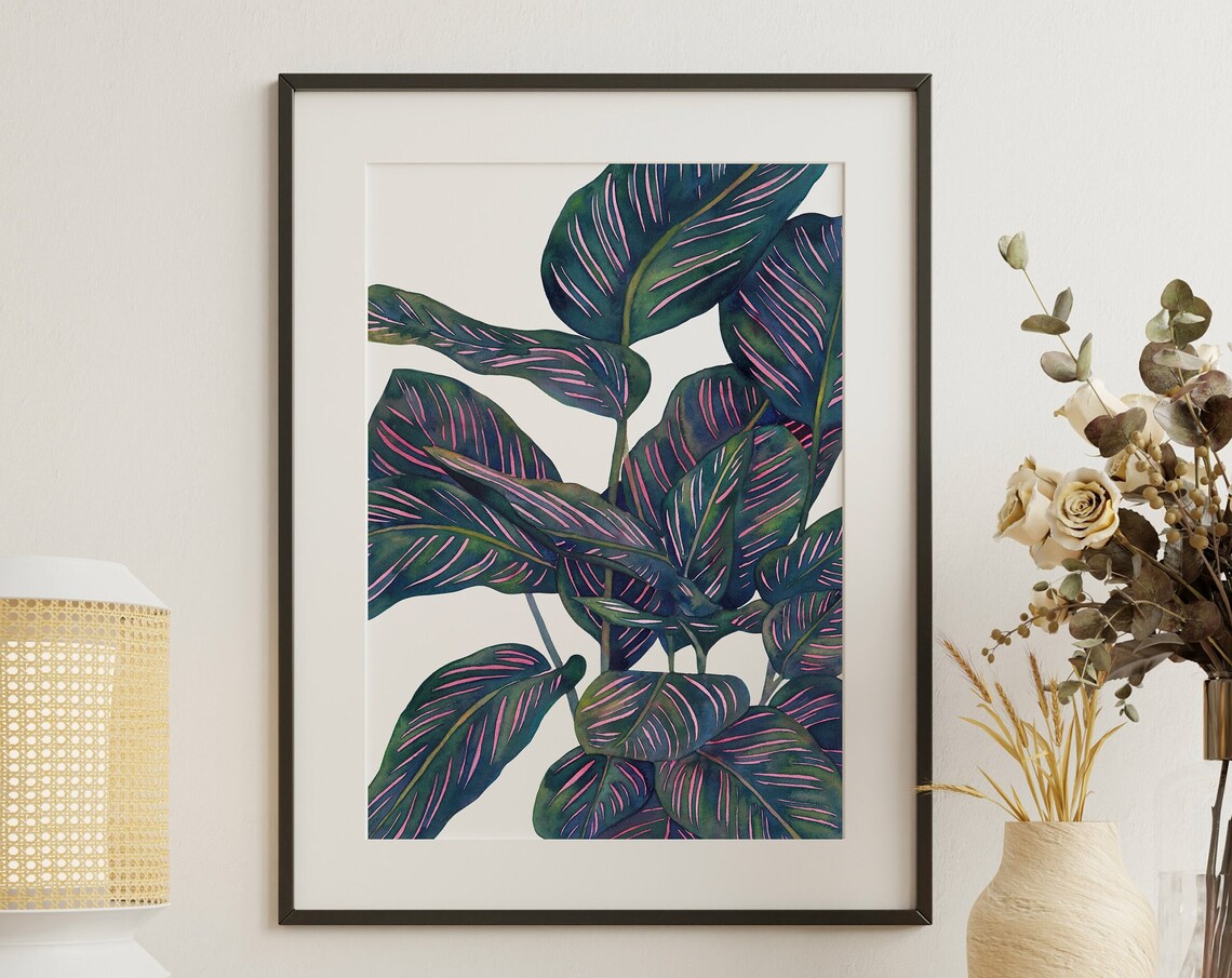 Calathea Ornata Pink Striped Leaves Watercolor Botanical Art Poster