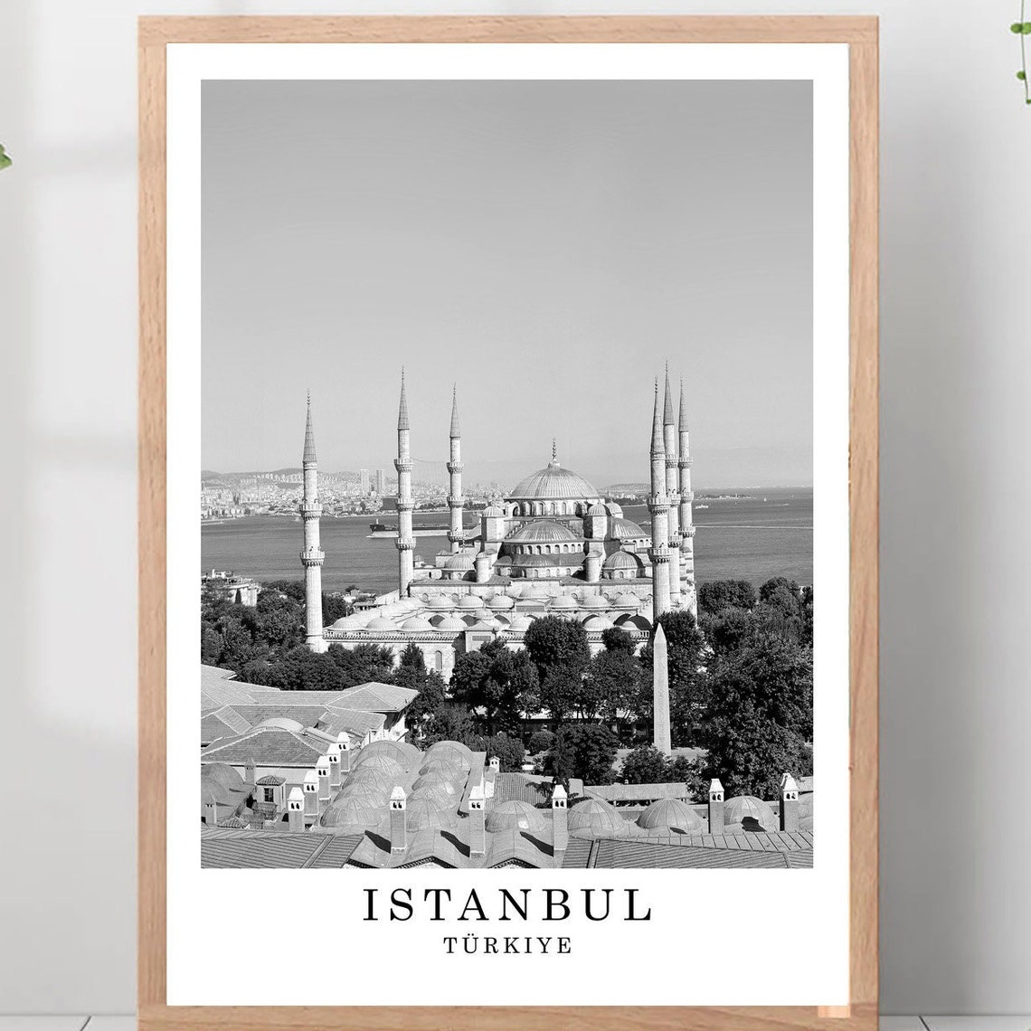 Istanbul Turkiye Blue Mosque Minarets Black And White Photo Poster