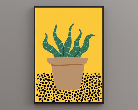 Snake Plant In Terracotta Pot Bright Yellow Spotted Ground Poster