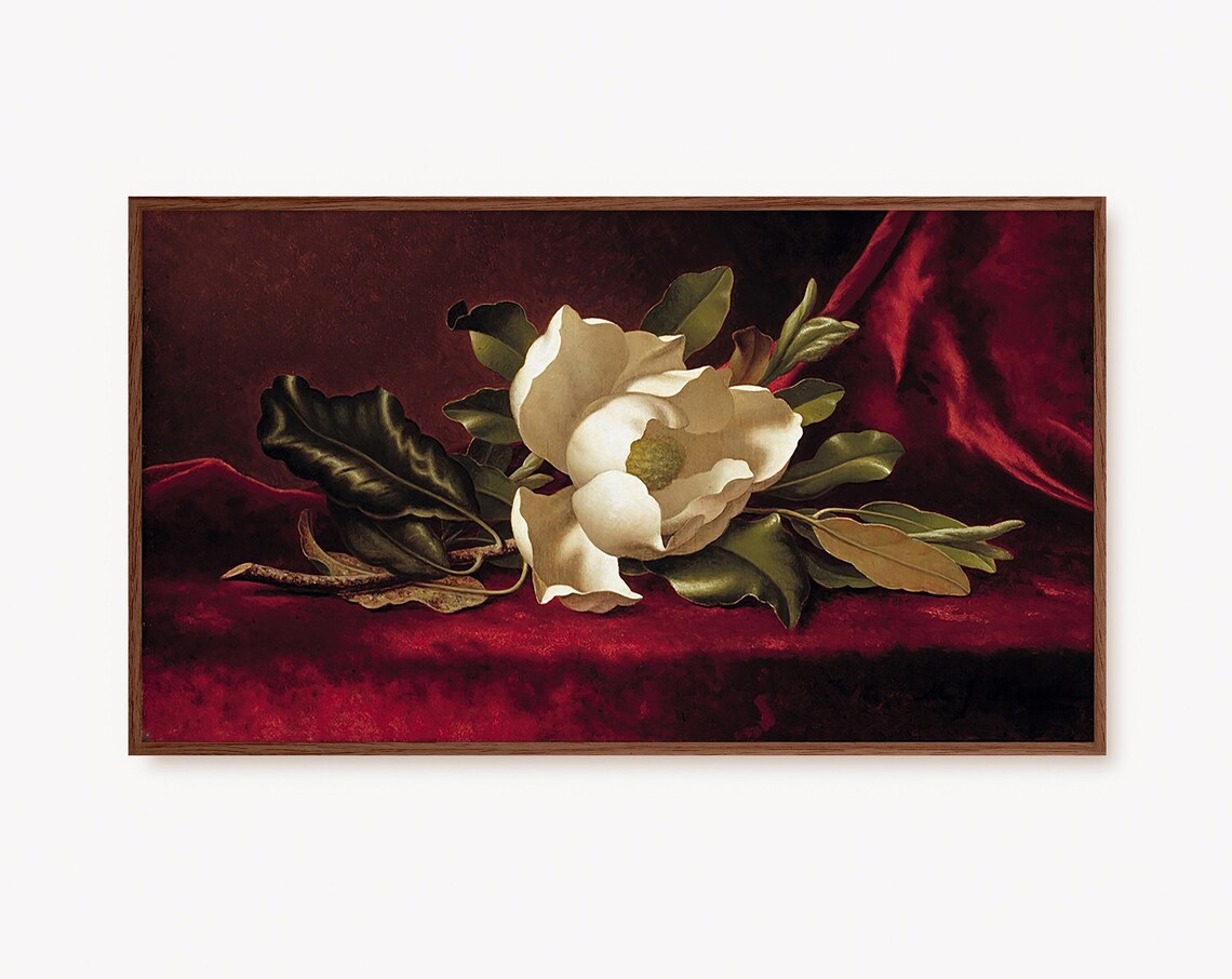 White Magnolia Blossom on Red Velvet Vintage Botanical Poster