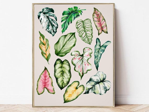 Plant Lover Wall Art, Exotic Indoor Plants Print