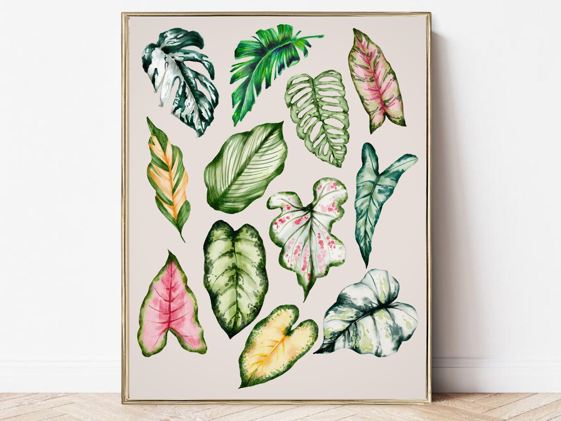 Plant Lover Wall Art, Exotic Indoor Plants Print