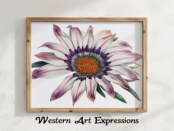 Gazania Flower Watercolor Illustration Botanical Wall Art Print White And Purple Floral Home Decor