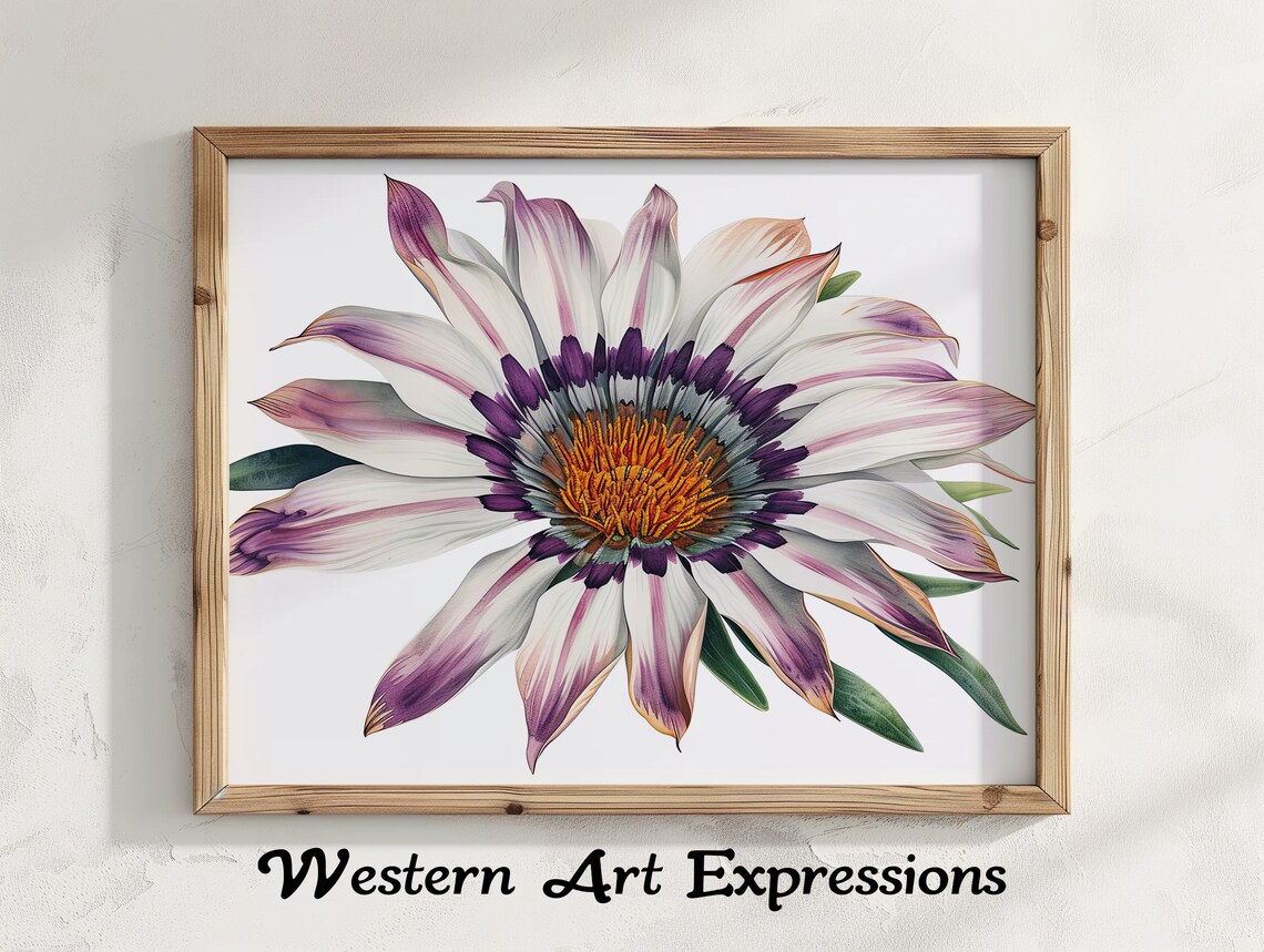 Gazania Daisy Watercolor Purple White Botanical Illustration Poster
