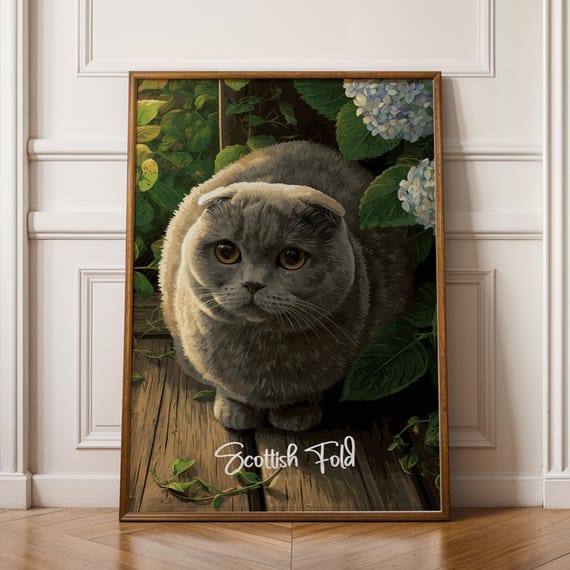 Scottish Fold Wall Art Adorable Cat Illustration Minimalist Pet Decor Gift For Lovers