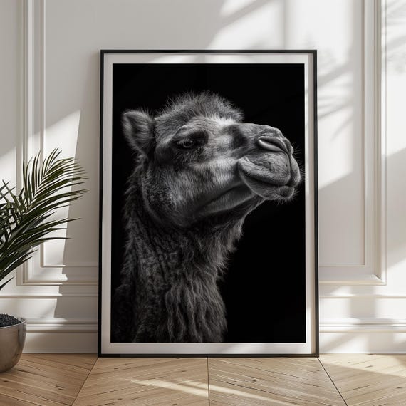 Black And White Camel Print Desert Wildlife Poster Monochrome Animal Decor