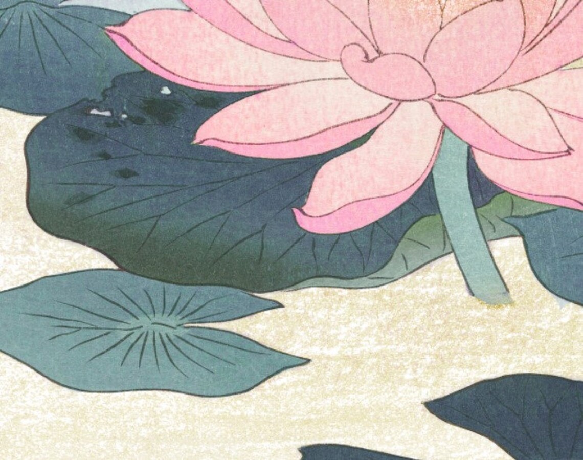 Water Lily By Ohara Koson, Vintage Illustration - Image 2