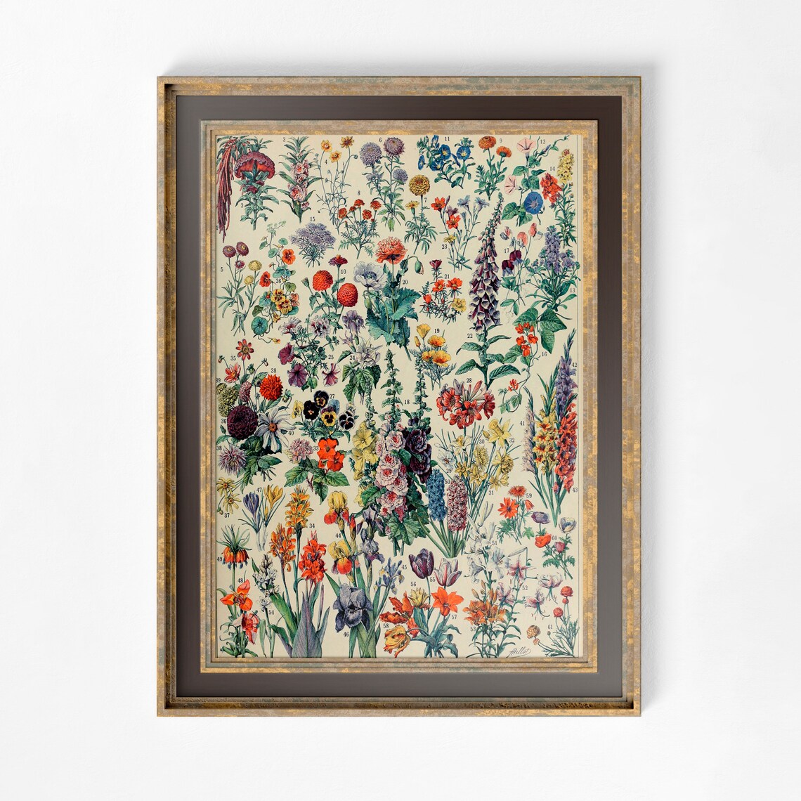 Alphonse Millot Art Nouveau Floral Poster Print