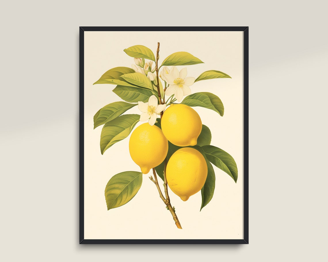 Lemon Branch Blossoms Vintage Botanical Kitchen Fruit Wall Art - Image 3