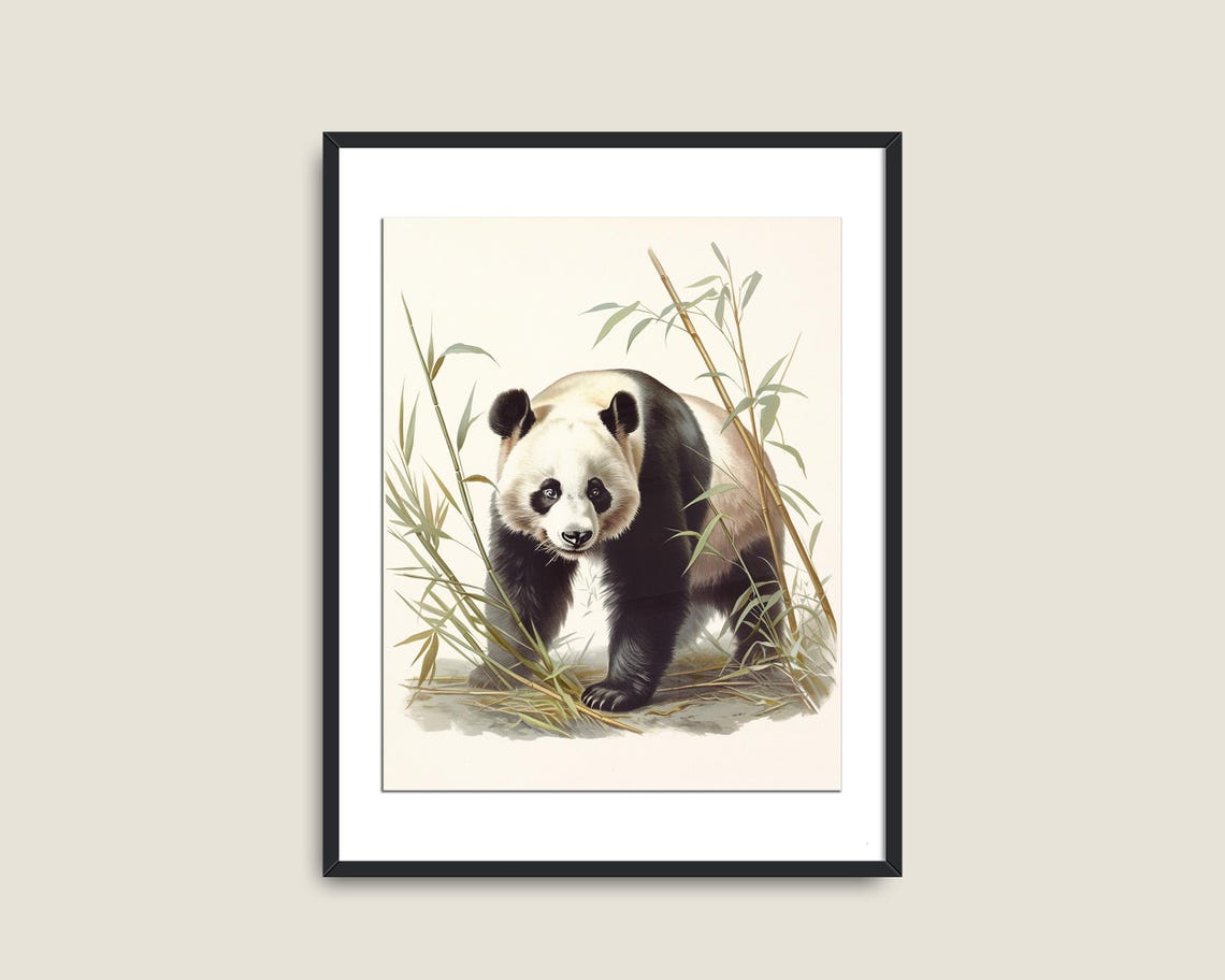 Giant Panda Bear Walking Among Bamboo Vintage Wildlife Art Poster - Image 2