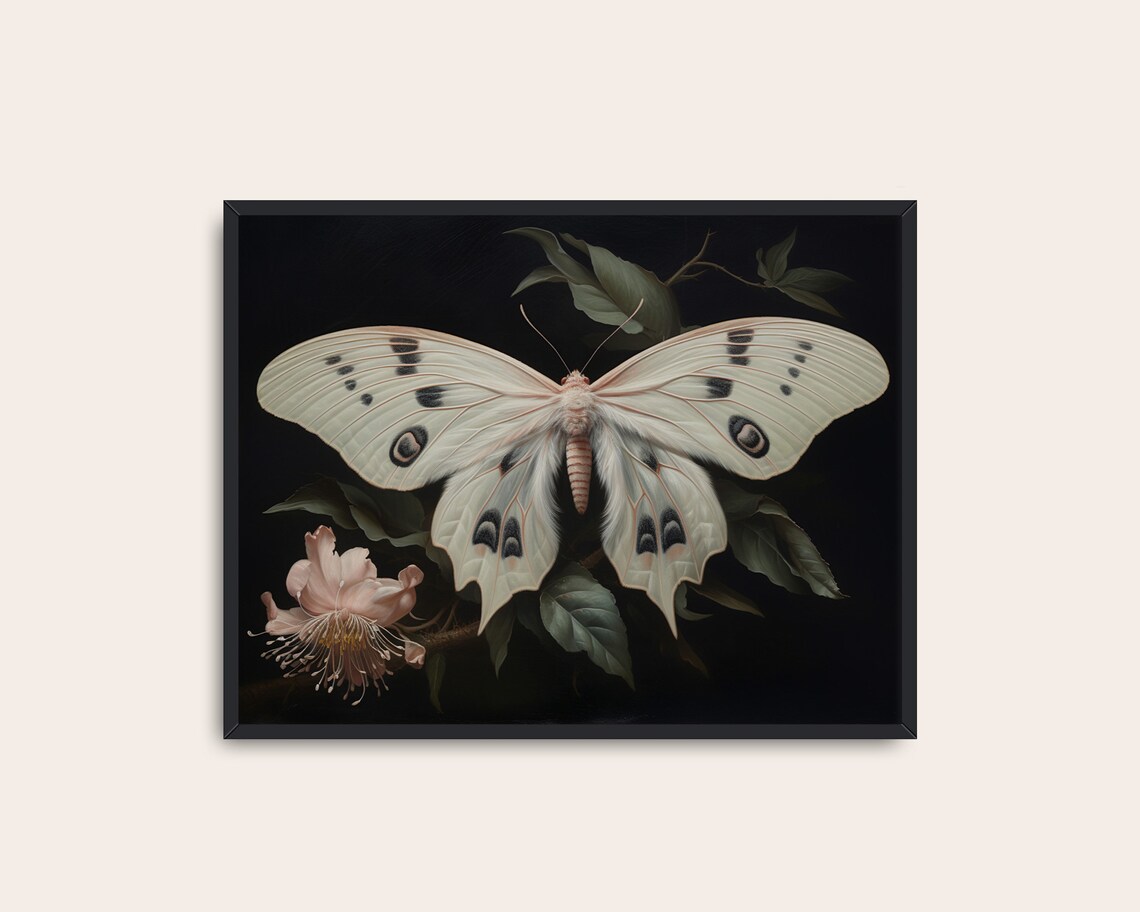 Pale Pink White Moth Vintage Butterfly Art Print - Image 3