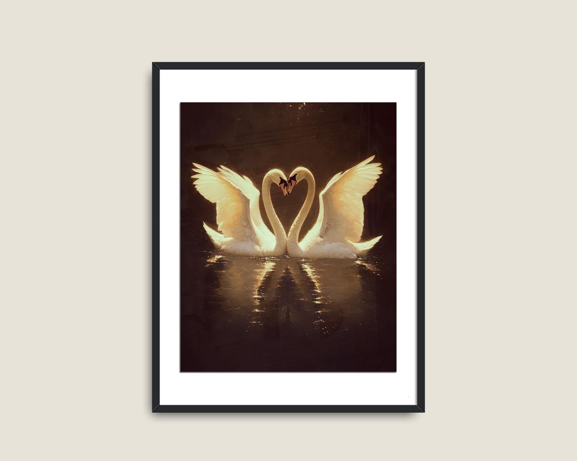 Two Swans Heart Shape Dark Water Romantic Love Wildlife Print - Image 2