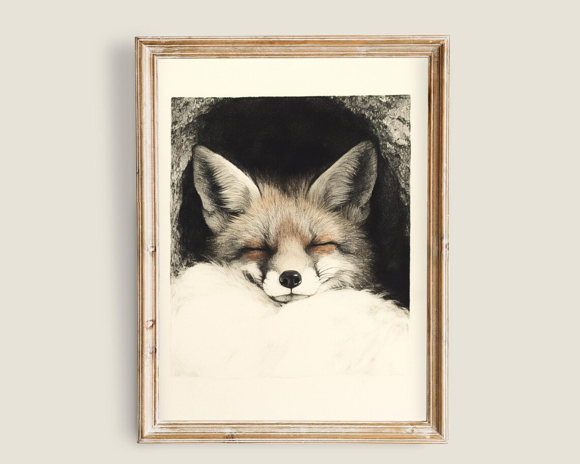 Sleeping Red Fox Curled Tail Vintage Monochrome Sketch Wildlife Art Poster - Image 3
