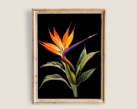 Tropical Floral Painting Vintage Botanical Art Dark Academia Decor Paradise Flower Prints Farmhouse Antique Wall Art