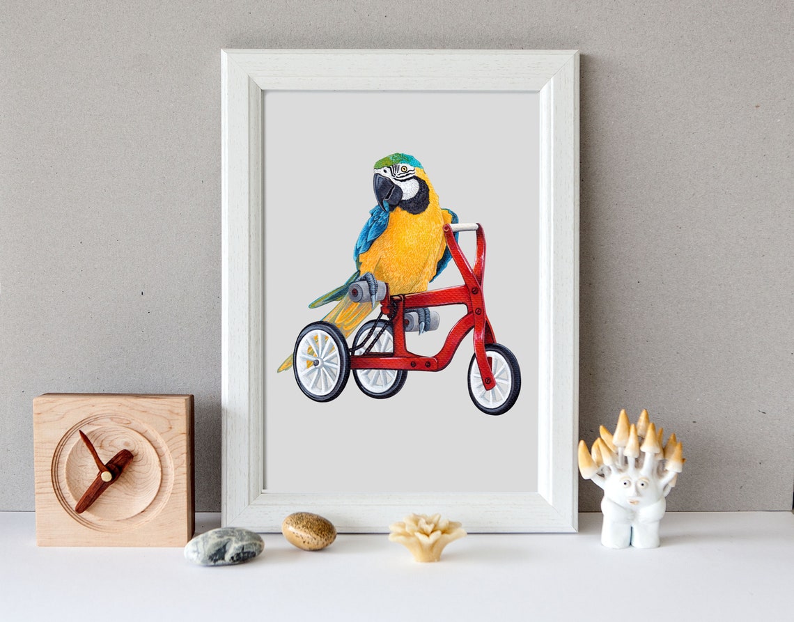 Blue And Yellow Macaw Riding Red Tricycle Funny Bird Animal Poster - Image 3