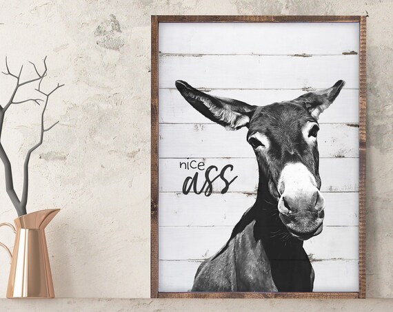 Nice Ass Funny Bathroom Signs Faux Wood Texture On Framed Cute Washroom Home Signs Adult Humor Wall Art Humorous Decor