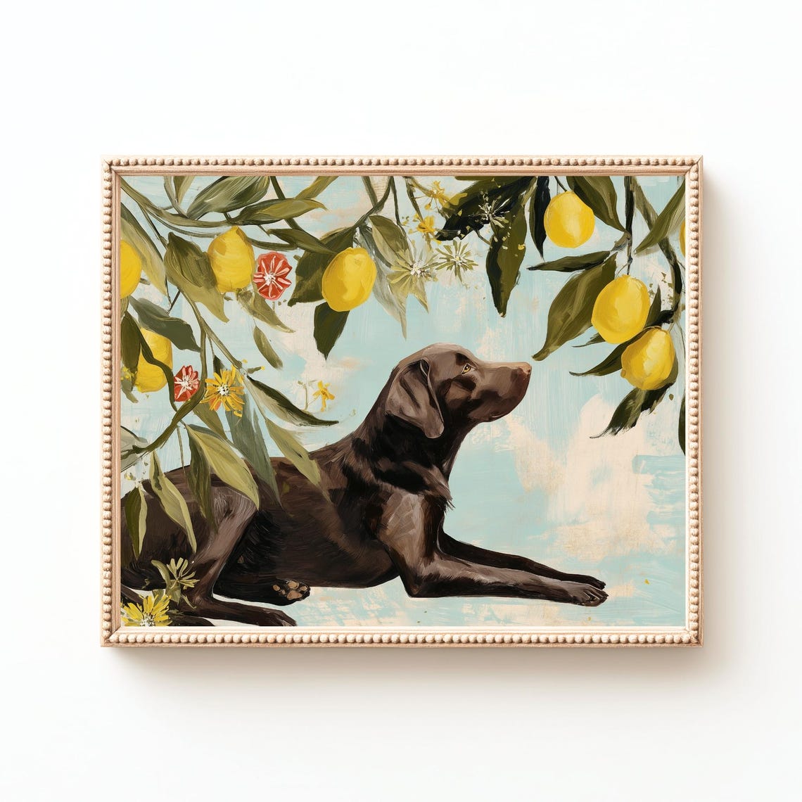 Chocolate Labrador Retriever Gazing at Lemons Citrus Dog Art Poster