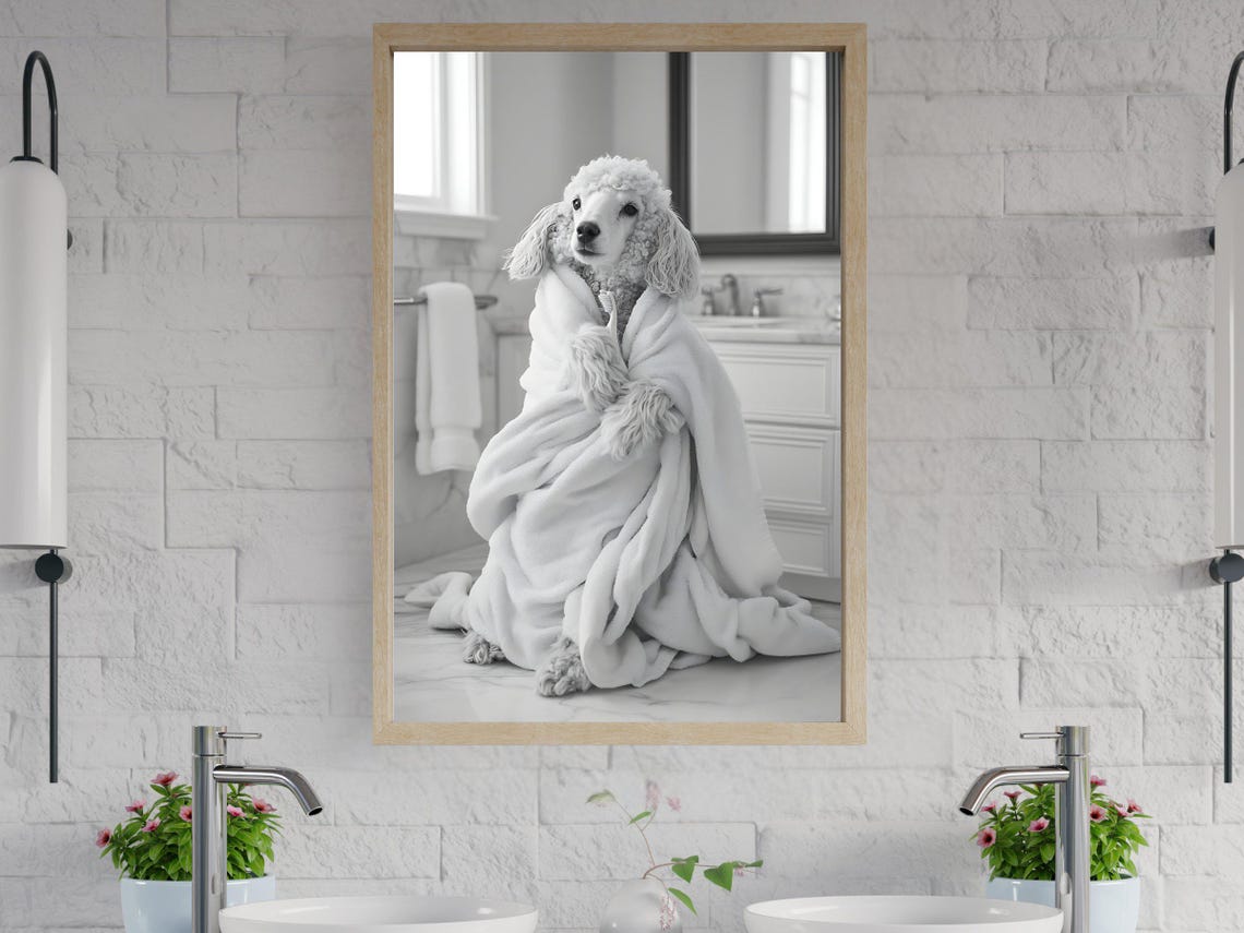 Elegant Poodle Wrapped Cozily in a Soft White Blanket Poster