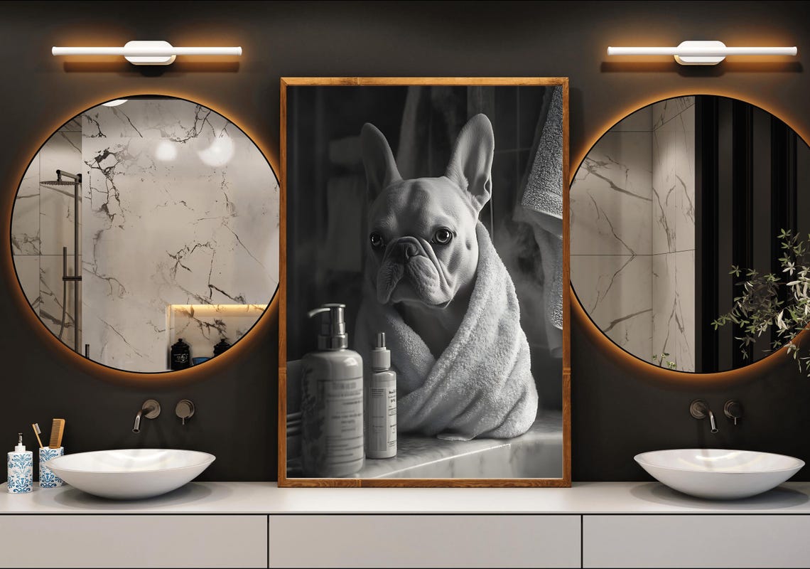 French Bulldog Wrapped In A Towel After A Bath Black White Poster - Image 3