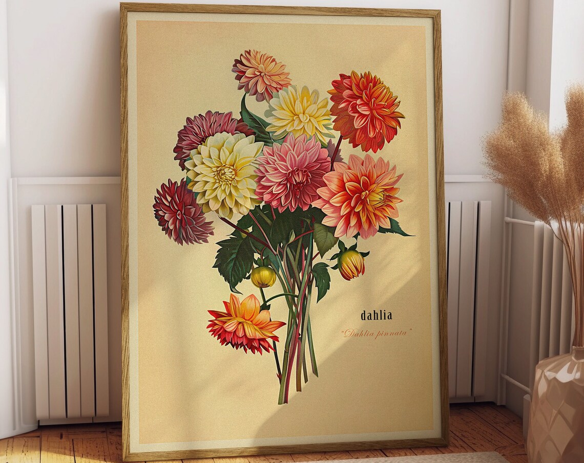 Vintage Bouquet Of Dahlias, Botanical Art Print