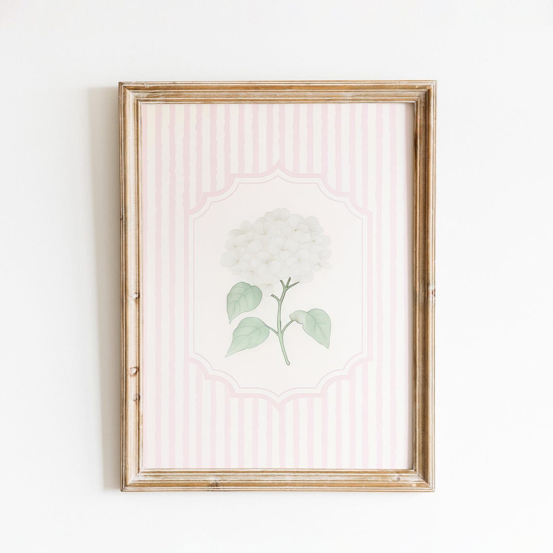 White Hydrangea Botanical Stem Pink Stripe Frame Vintage Wall Art
