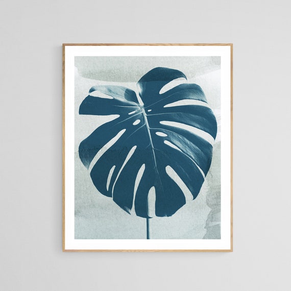 Cyanotype Monstera Botanical Photograph