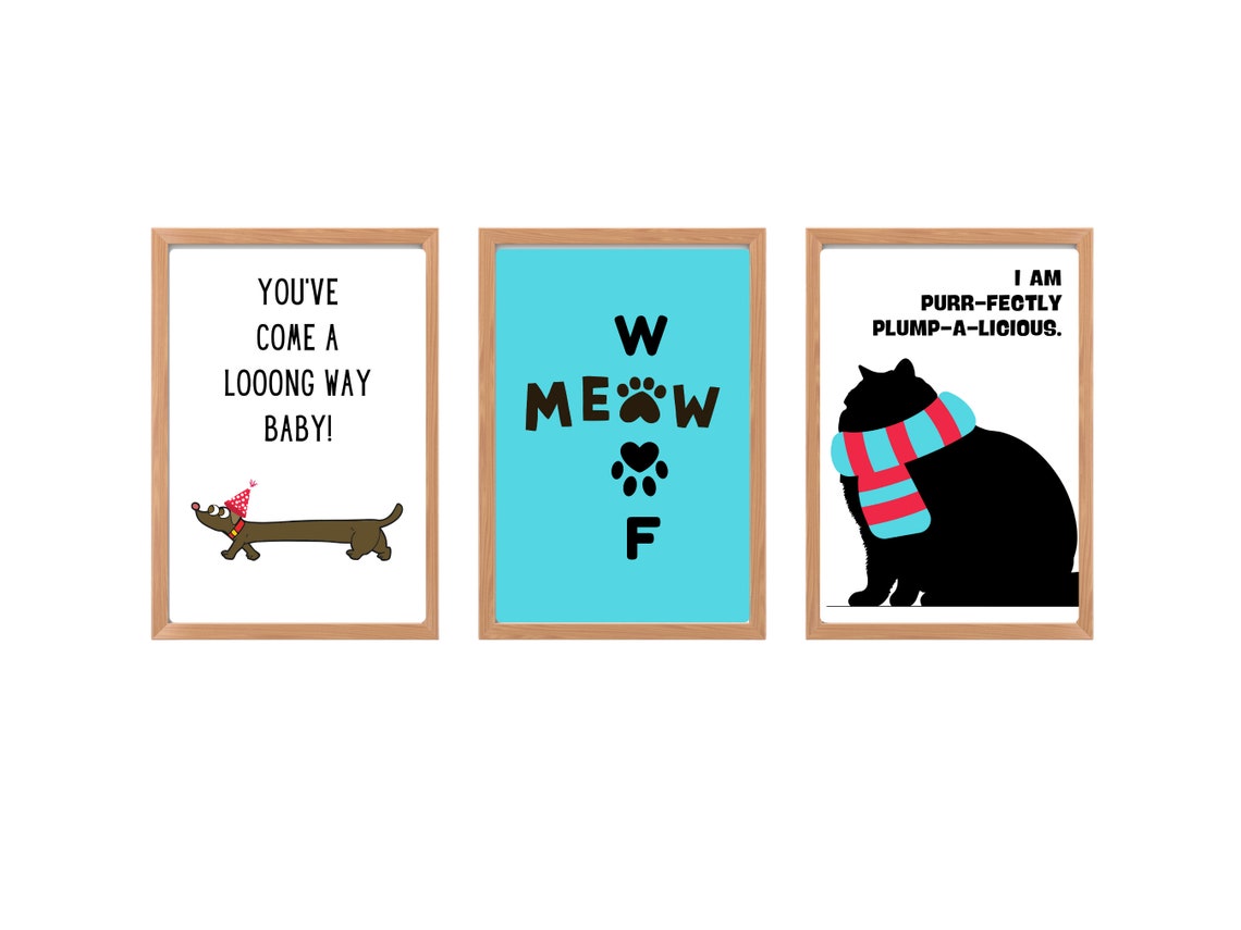 Youve Come A Looong Way Baby Funny Dachshund Party Hat Quote Poster - Image 2