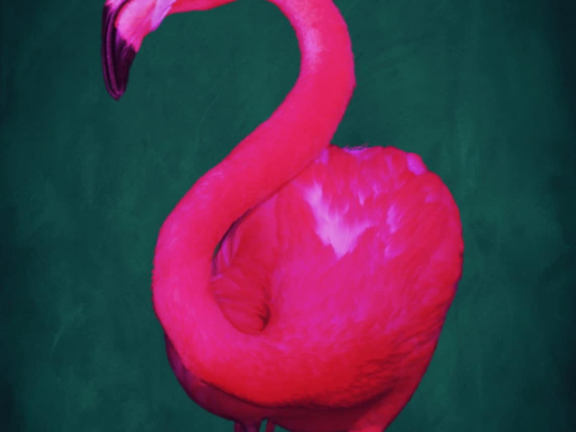 Bright Pink Flamingo Pop Art, Maximalist Poster - Image 6