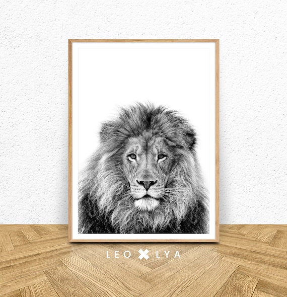Black and White Lion Art Print, Safari Nursery Decor
