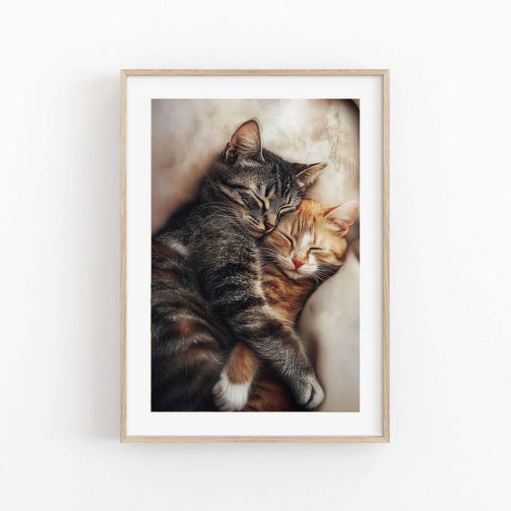 Sleeping Kittens Cuddling Together Cozy Cat Pair Portrait Poster