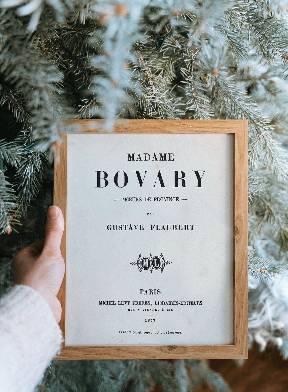 Madame Bovary Gustave Flaubert 1857 First Edition Paris Title Page Poster - Image 4
